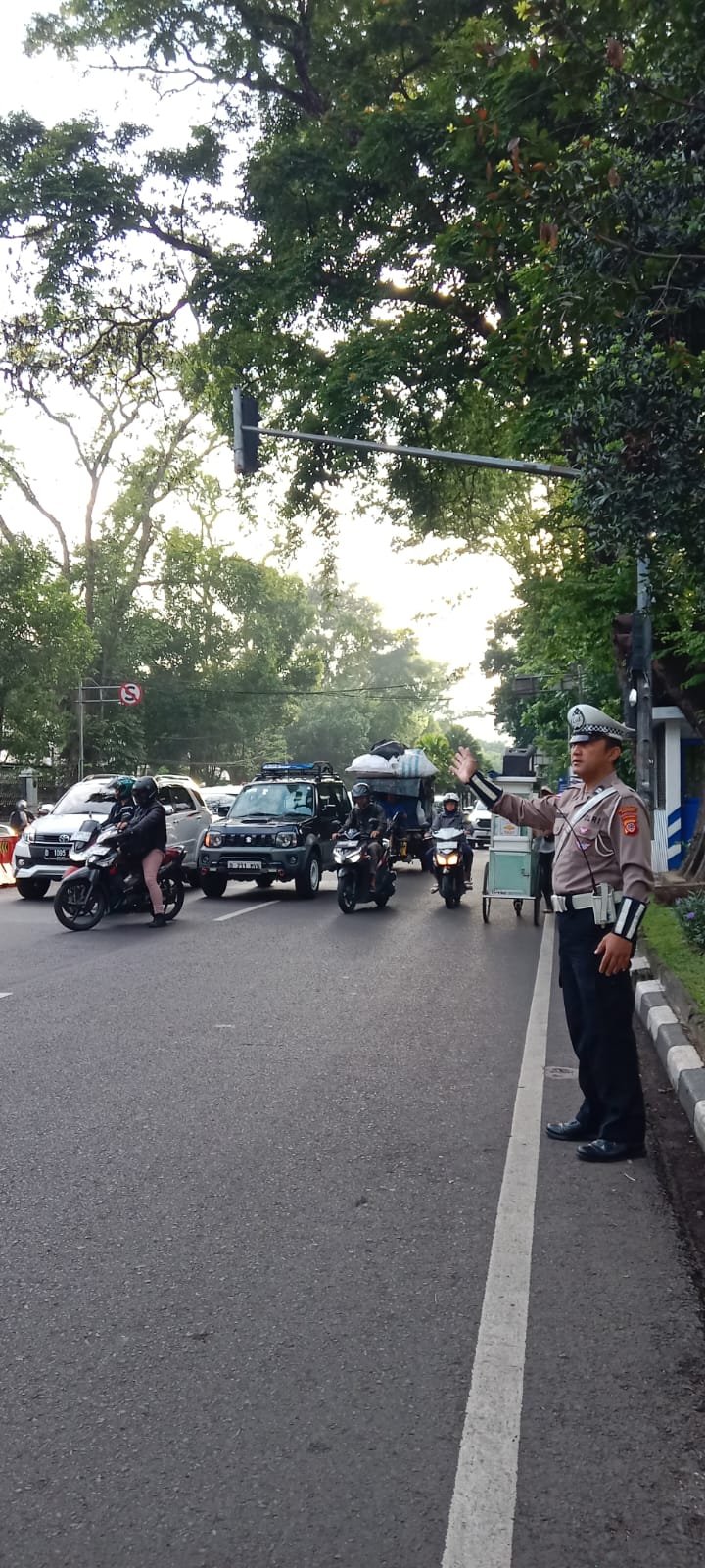 296E51CB-44C4-4A95-BD2D-19EE3FB2F800